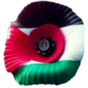 palestinepoppy
